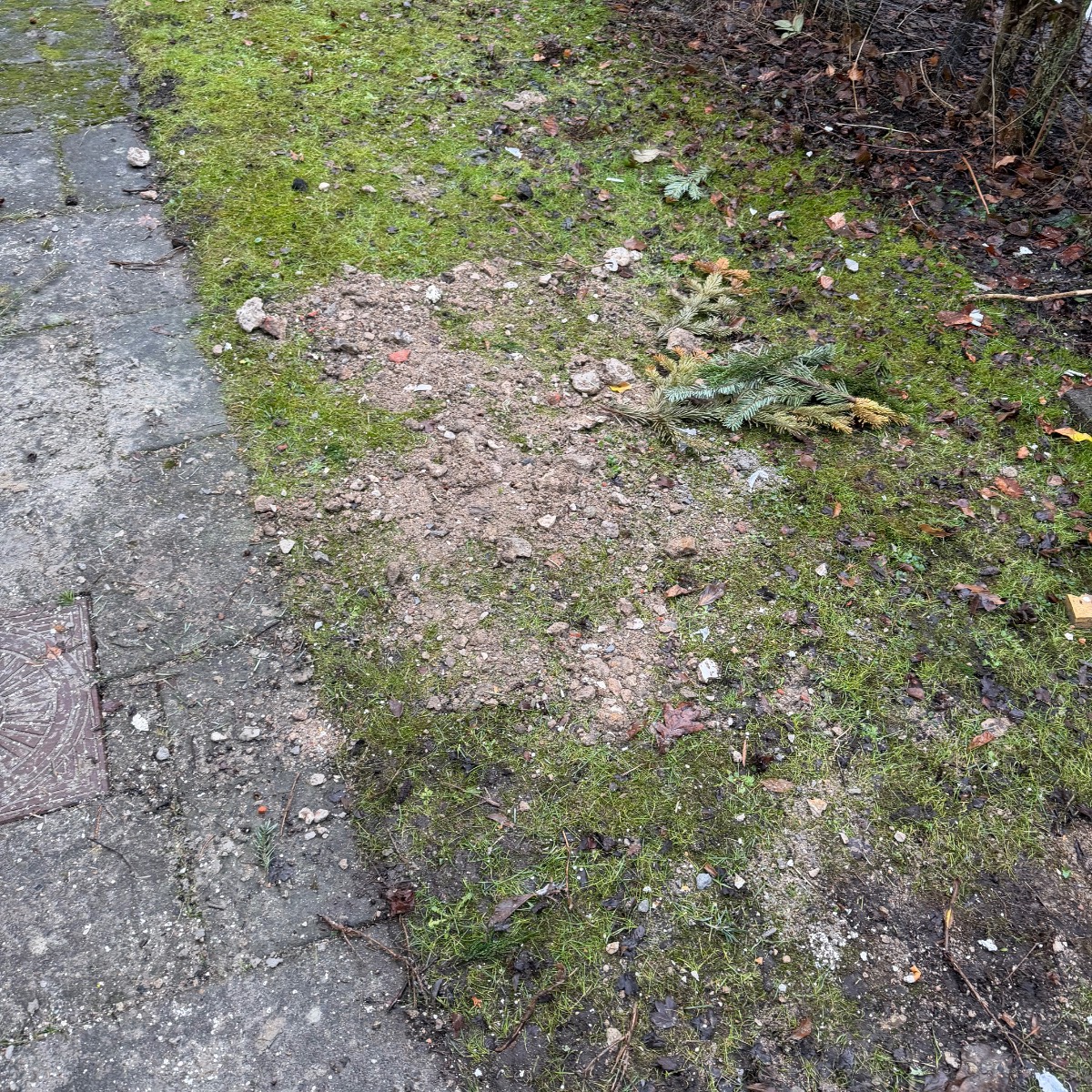 comment.user?.profileImg