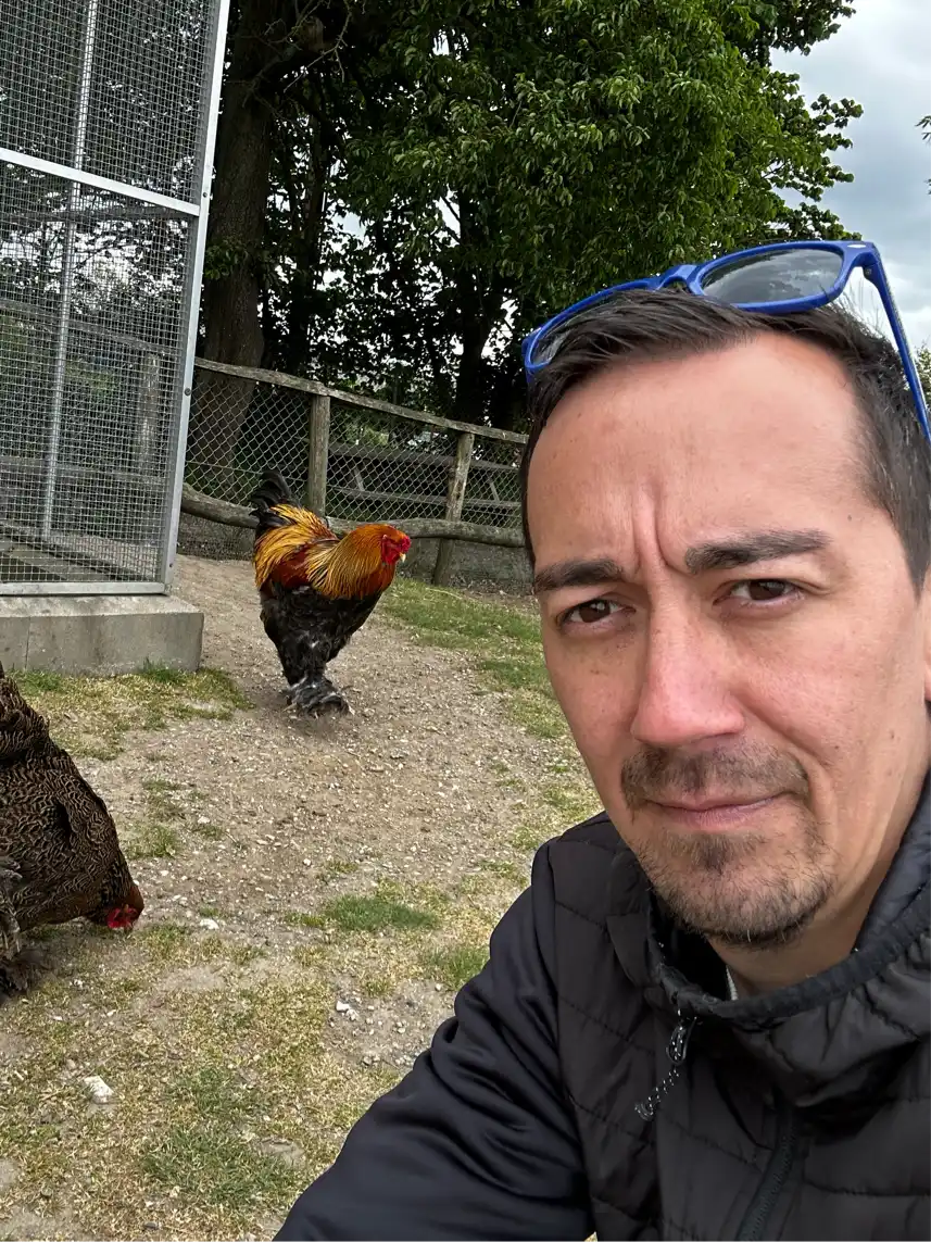 Opgaveejer for løst opgaver online