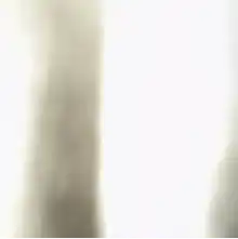 comment.user?.profileImg