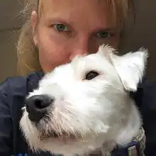 comment.user?.profileImg