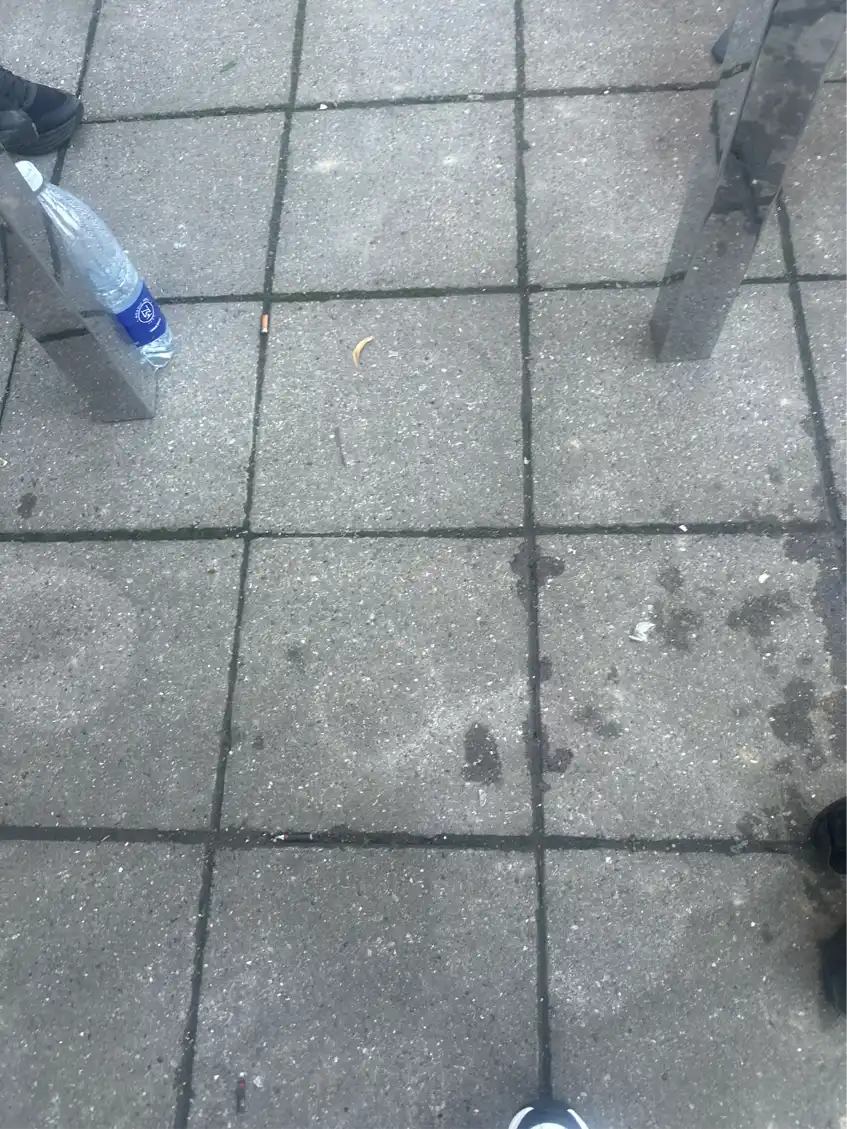 Opgaveejer for løst opgaver online