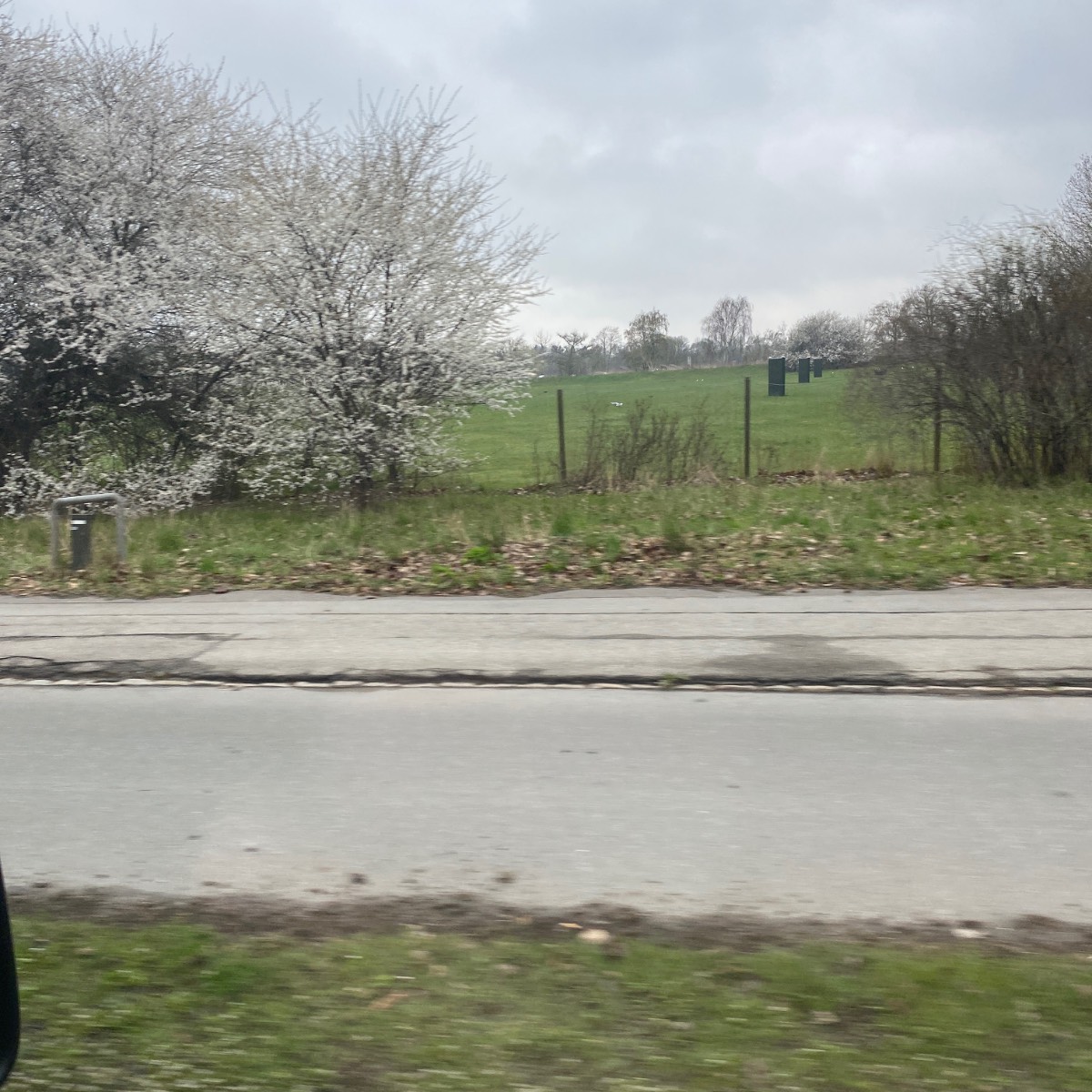 Opgaveejer for løst opgaver online