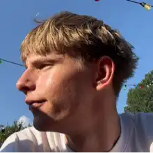 Opgaveejer for løst opgaver online