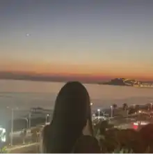 Opgaveejer for løst opgaver online