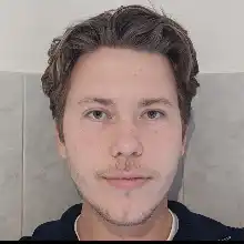 Opgaveejer for løst opgaver online