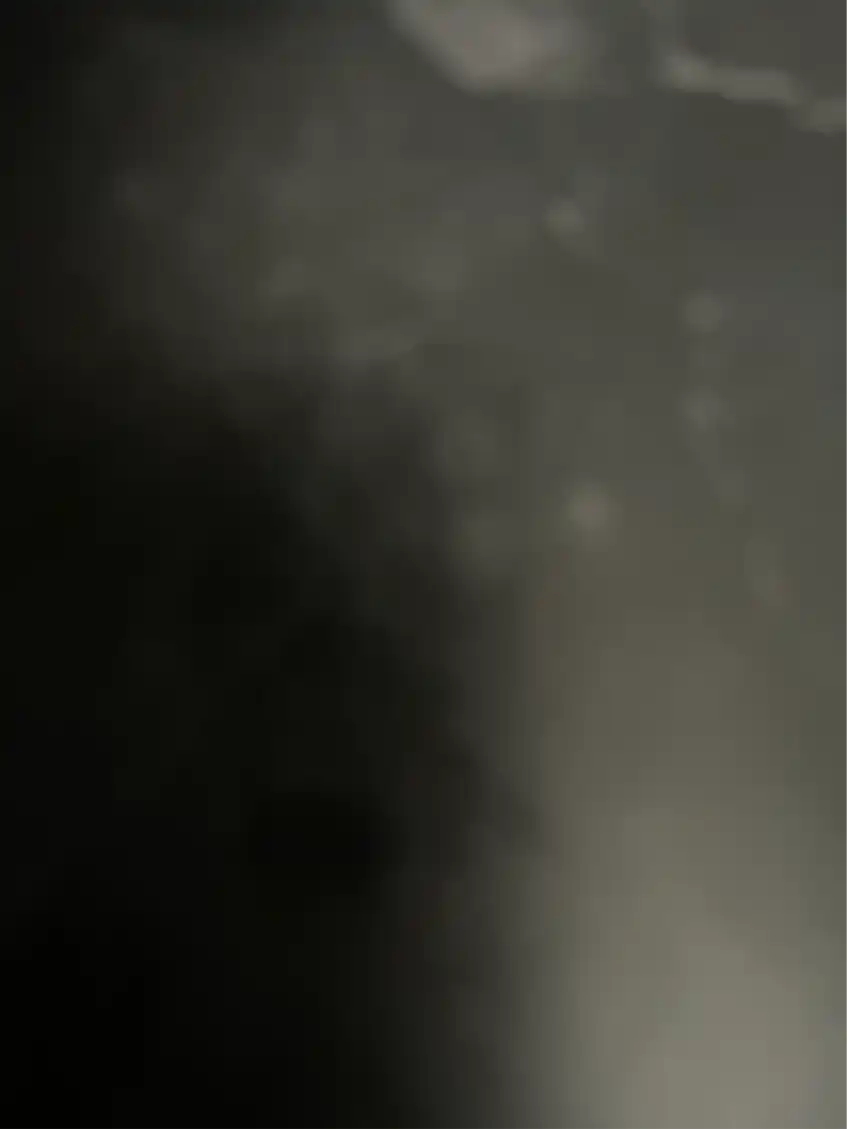 Opgaveejer for løst opgaver online