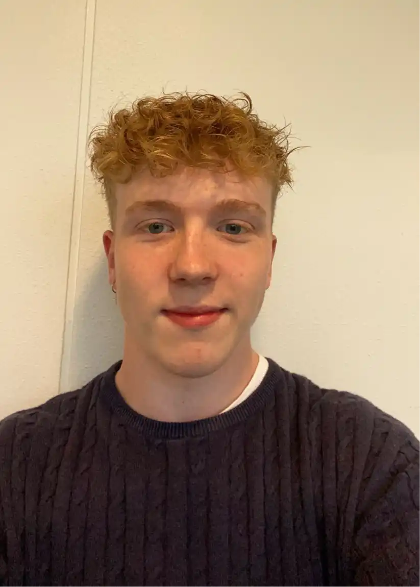 Opgaveejer for løst opgaver online