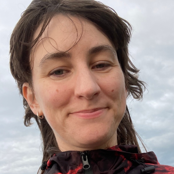 Opgaveejer for løst opgaver online