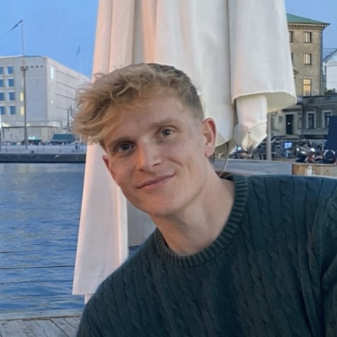 Opgaveejer for løst opgaver online