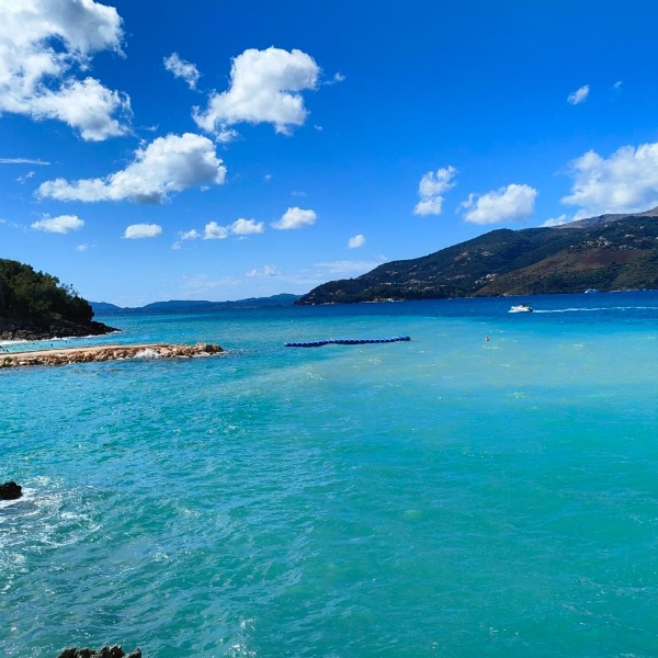 Opgaveejer for løst opgaver online