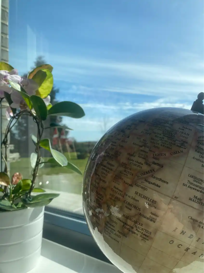 Opgaveejer for løst opgaver online