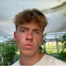 Opgaveejer for løst opgaver online