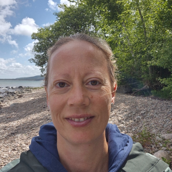 comment.user?.profileImg