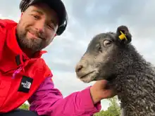 comment.user?.profileImg