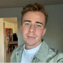 Opgaveejer for løst opgaver online