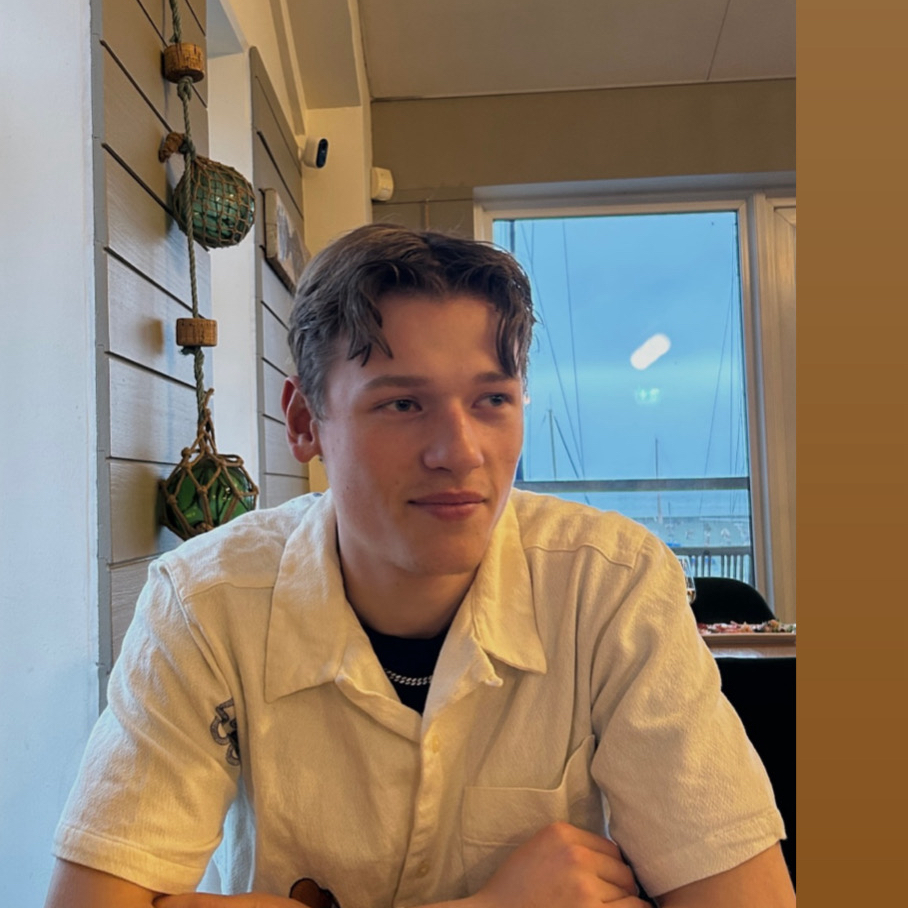 Opgaveejer for løst opgaver online