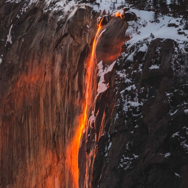 comment.user?.profileImg