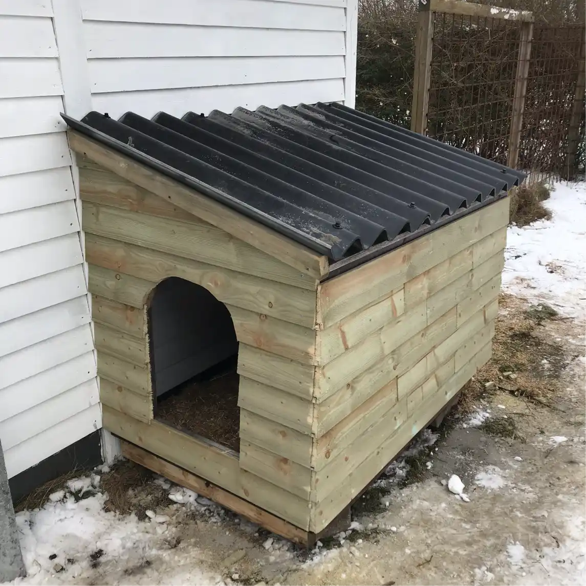 comment.user?.profileImg