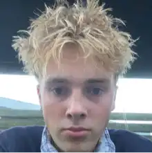 Opgaveejer for løst opgaver online