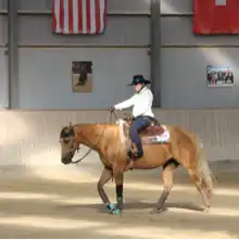 comment.user?.profileImg