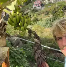 Opgaveejer for løst opgaver online