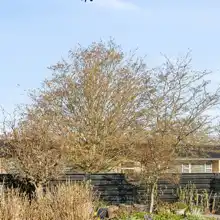 comment.user?.profileImg