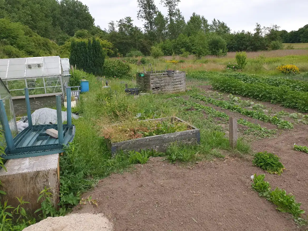 Opgaveejer for løst opgaver online