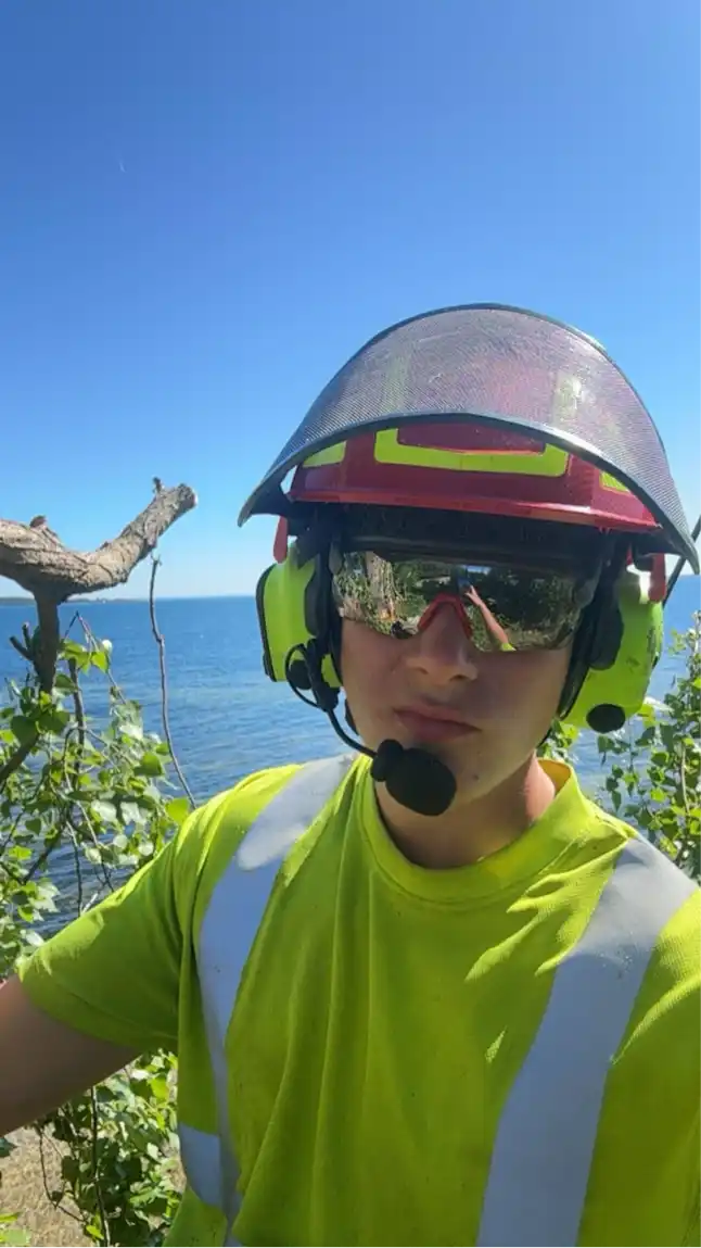 Opgaveejer for løst opgaver online