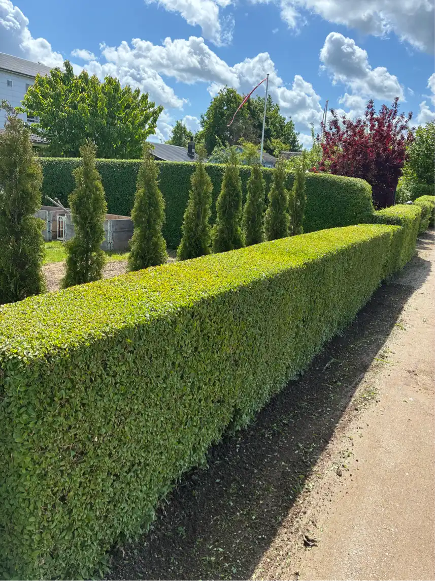 Opgaveejer for løst opgaver online