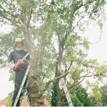 Opgaveejer for løst opgaver online