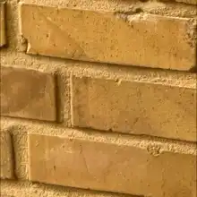 comment.user?.profileImg