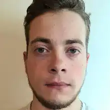 Opgaveejer for løst opgaver online