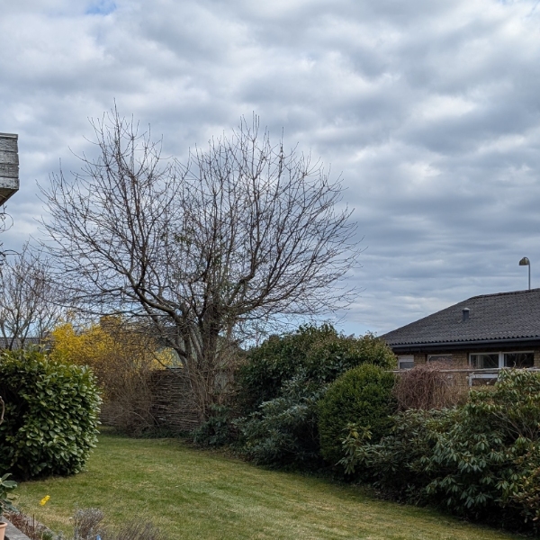 comment.user?.profileImg