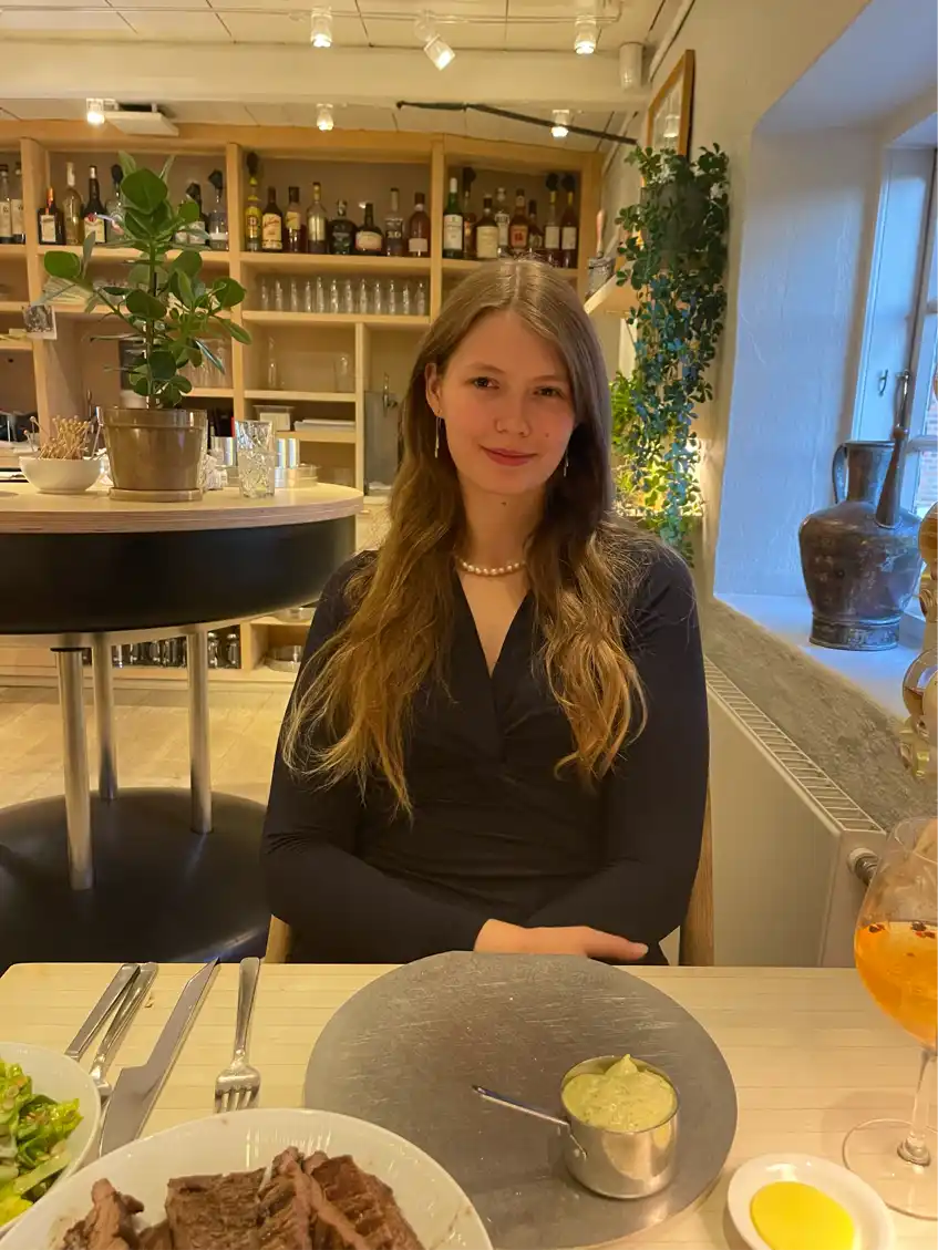 Opgaveejer for løst opgaver online