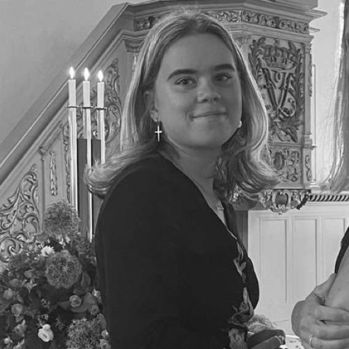 Opgaveejer for løst opgaver online