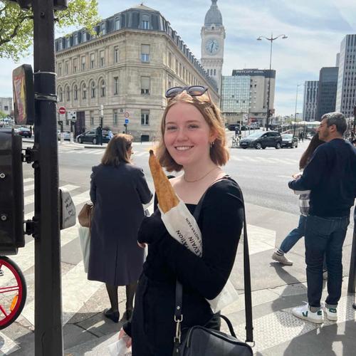 Opgaveejer for løst opgaver online