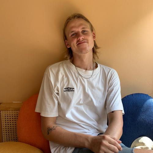 Opgaveejer for løst opgaver online